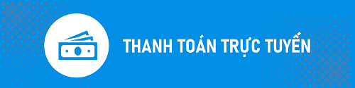 thanh toán trực tuyến